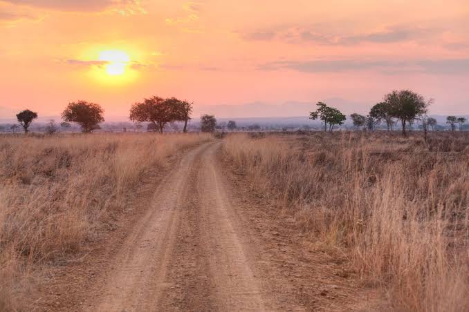 Mikumi National Park plains