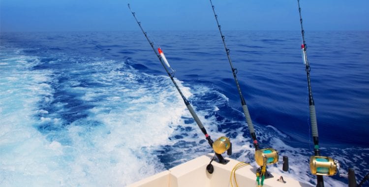 Fishing Tour – Discover the Thrill of the Ocean