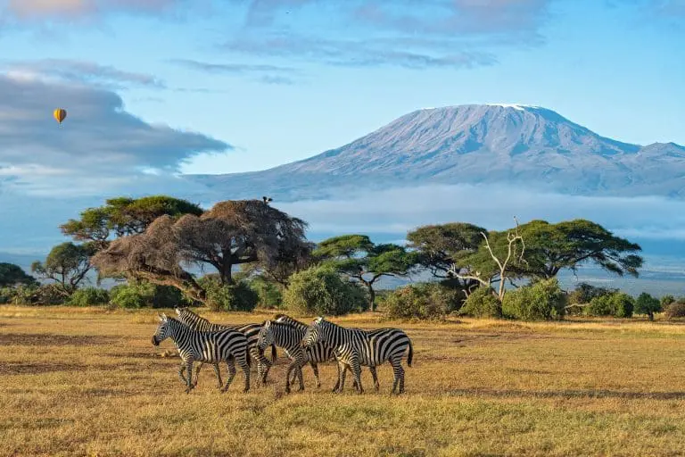 Zanzibar to Kilimanjaro Adventure